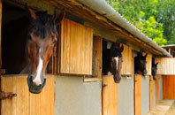 free Wrecclesham stable construction quotes